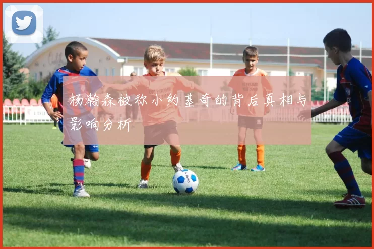 杨瀚森被称小约基奇的背后真相与影响分析