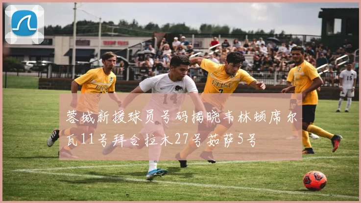 蓉城新援球员号码揭晓韦林顿席尔瓦11号拜合拉木27号茹萨5号