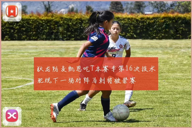 狄龙防麦凯恩吃T本赛季第16次技术犯规下一场对阵马刺将被禁赛