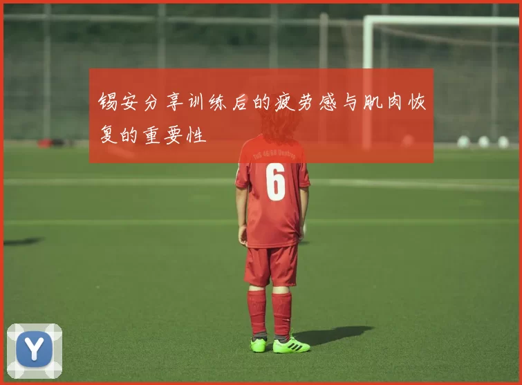 锡安分享训练后的疲劳感与肌肉恢复的重要性